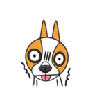 Happy Dog Chihuahua（個別スタンプ：16）