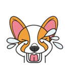 Happy Dog Chihuahua（個別スタンプ：17）