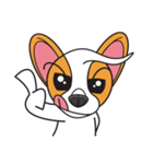 Happy Dog Chihuahua（個別スタンプ：20）