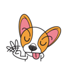 Happy Dog Chihuahua（個別スタンプ：23）