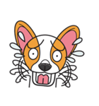 Happy Dog Chihuahua（個別スタンプ：24）