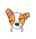 Happy Dog Chihuahua（個別スタンプ：28）
