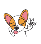 Happy Dog Chihuahua（個別スタンプ：29）