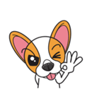 Happy Dog Chihuahua（個別スタンプ：35）