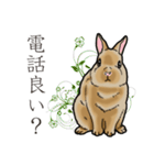 もふもふウサギ（個別スタンプ：6）
