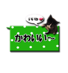 かわいすぎる吹き出し子ネコシール（個別スタンプ：13）