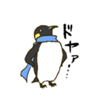 マフラーペンギン（個別スタンプ：9）