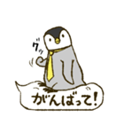 マフラーペンギン（個別スタンプ：13）