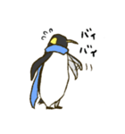 マフラーペンギン（個別スタンプ：23）