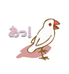 おでかけ文鳥（個別スタンプ：22）