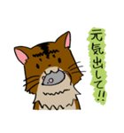 うちの猫（メス・雑種）のスタンプ（個別スタンプ：11）