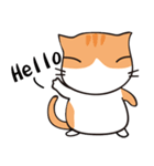 Cat with single eyelid Part.2（個別スタンプ：1）