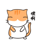 Cat with single eyelid Part.2（個別スタンプ：5）