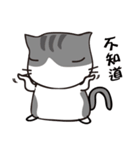 Cat with single eyelid Part.2（個別スタンプ：9）