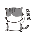 Cat with single eyelid Part.2（個別スタンプ：17）