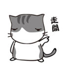 Cat with single eyelid Part.2（個別スタンプ：20）