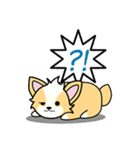 CORGi Cuteness（個別スタンプ：1）