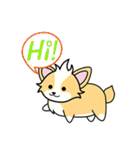 CORGi Cuteness（個別スタンプ：2）