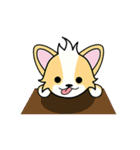 CORGi Cuteness（個別スタンプ：4）