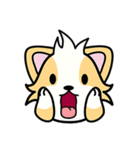 CORGi Cuteness（個別スタンプ：5）