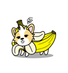 CORGi Cuteness（個別スタンプ：12）