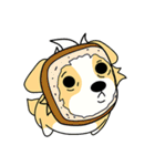 CORGi Cuteness（個別スタンプ：13）