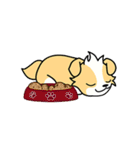 CORGi Cuteness（個別スタンプ：17）