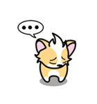 CORGi Cuteness（個別スタンプ：21）