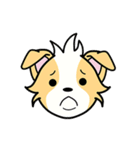 CORGi Cuteness（個別スタンプ：36）