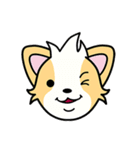 CORGi Cuteness（個別スタンプ：39）