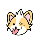 CORGi Cuteness（個別スタンプ：40）