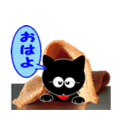 友達は黒猫さん12（個別スタンプ：16）