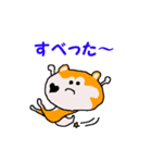 日本 柴犬 17（個別スタンプ：5）