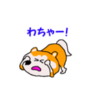 日本 柴犬 17（個別スタンプ：7）