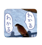 ほっこり自然と動物（個別スタンプ：8）