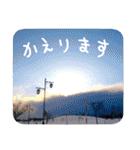 ほっこり自然と動物（個別スタンプ：15）