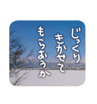 ほっこり自然と動物（個別スタンプ：32）