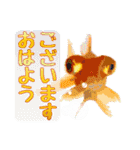 Kingyo01_(Goldfish)＿金魚01（個別スタンプ：2）