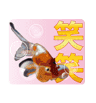 Kingyo01_(Goldfish)＿金魚01（個別スタンプ：13）