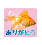 Kingyo01_(Goldfish)＿金魚01（個別スタンプ：18）