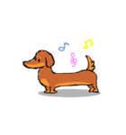 Freedom Dog（個別スタンプ：1）