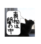 猫が代わりにお伝え その2（個別スタンプ：18）