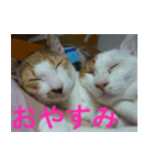 ミサコみぃこ（個別スタンプ：3）
