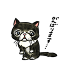 個性豊かなぶさ猫さん達（個別スタンプ：6）