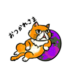 個性豊かなぶさ猫さん達（個別スタンプ：7）