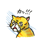 個性豊かなぶさ猫さん達（個別スタンプ：12）