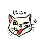 個性豊かなぶさ猫さん達（個別スタンプ：14）