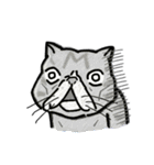 個性豊かなぶさ猫さん達（個別スタンプ：16）