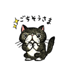 個性豊かなぶさ猫さん達（個別スタンプ：20）