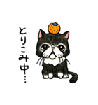 個性豊かなぶさ猫さん達（個別スタンプ：21）
